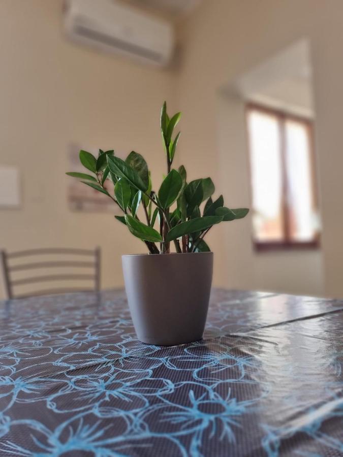 San Casciano Bed & Breakfast Narni Ngoại thất bức ảnh